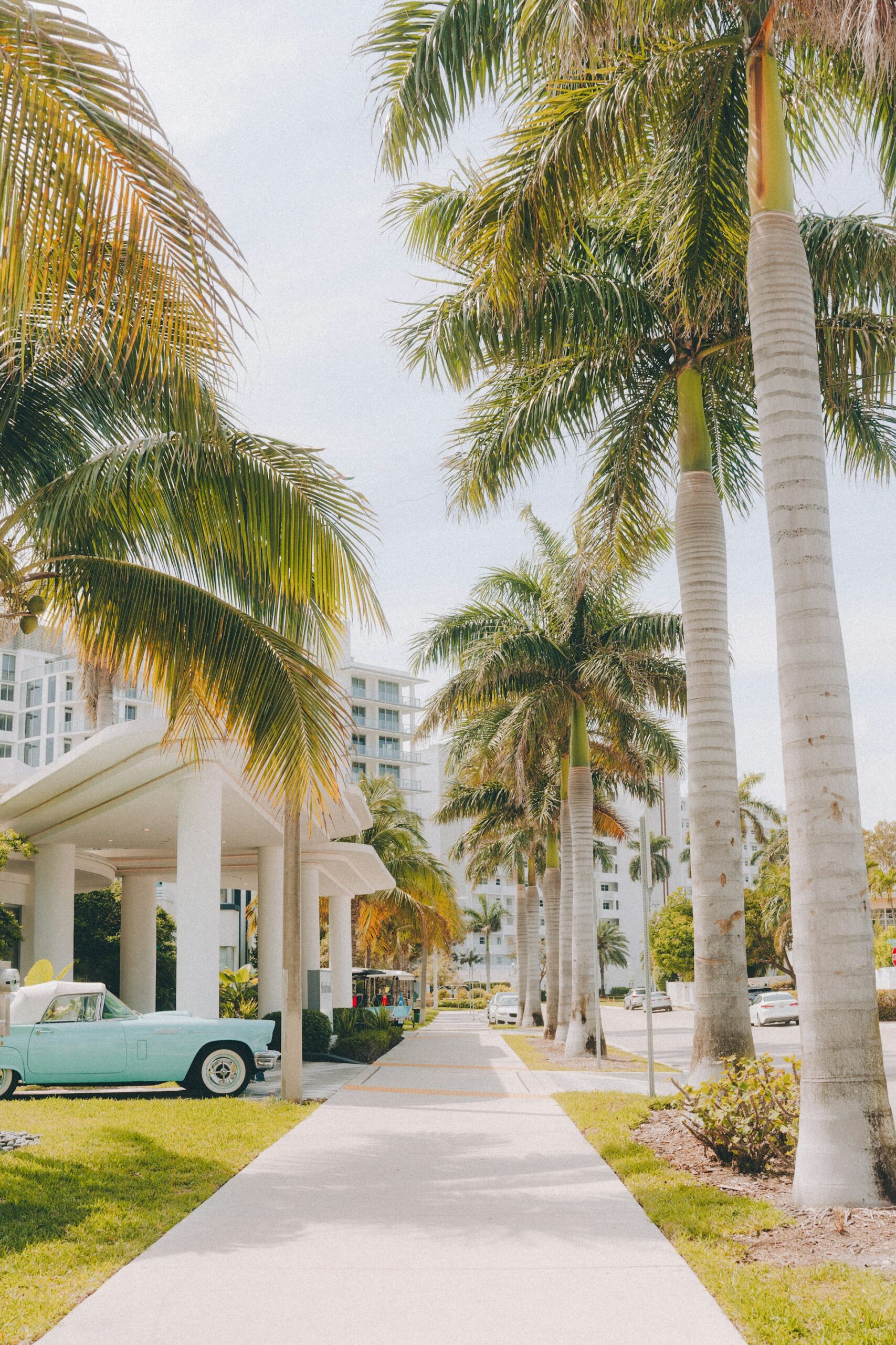 luke-witter-DnYcKOF5fkQ-unsplash